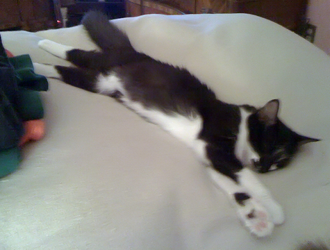 passed out.jpg