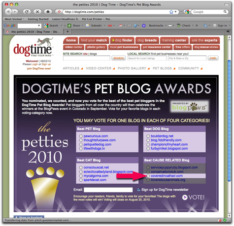 petties copy.jpg