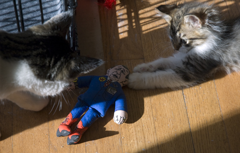 play time.jpg