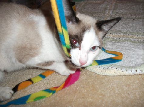 sally with toy grrr.jpg