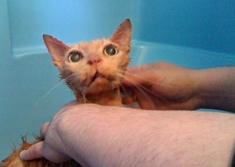 scared in the tub.jpg
