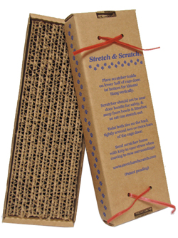 scratchC copy.jpg