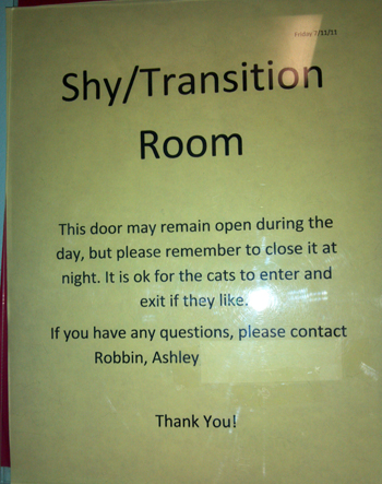 shy room.jpg