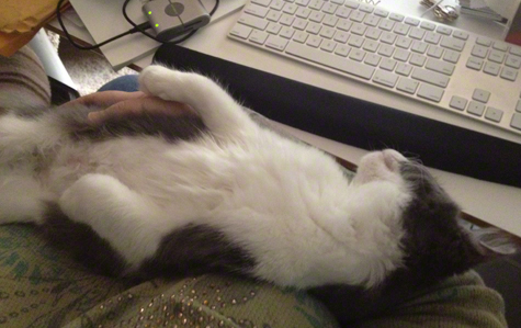 sleeping in my arms.jpg