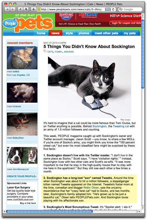 socks people pets copy.jpg