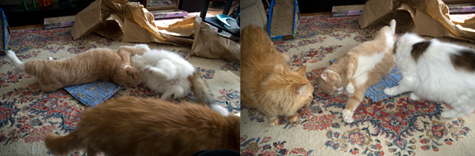 spencer and nick fight.jpg