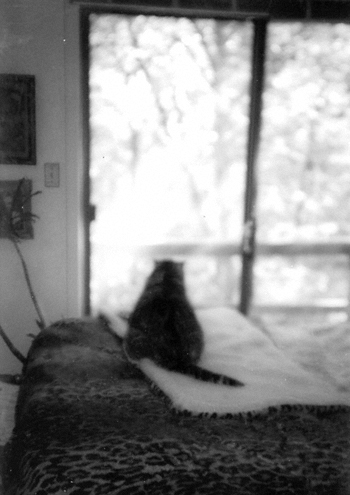 squeegee on the bed.jpg