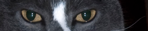 teaser copy.jpg