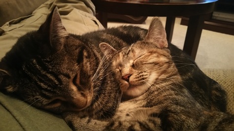 togetherness.jpg Togetherness