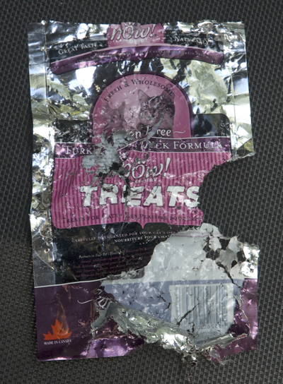 treat bag.jpg