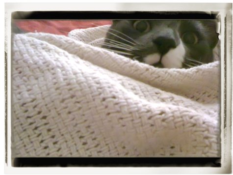 tweetieblanket copy.jpg